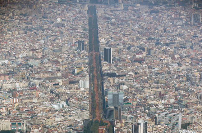 Uno de los lados de la "V" de la Diada